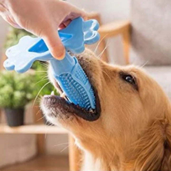 HeyChewy - Låt hunden rengöra tänderna själv!